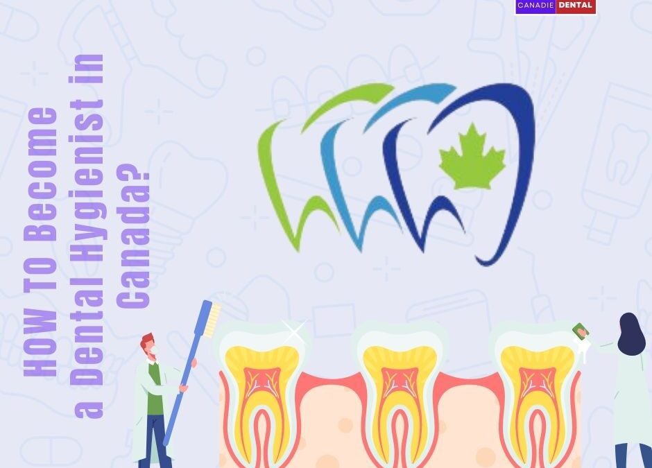 Dentistry in Canada Archives